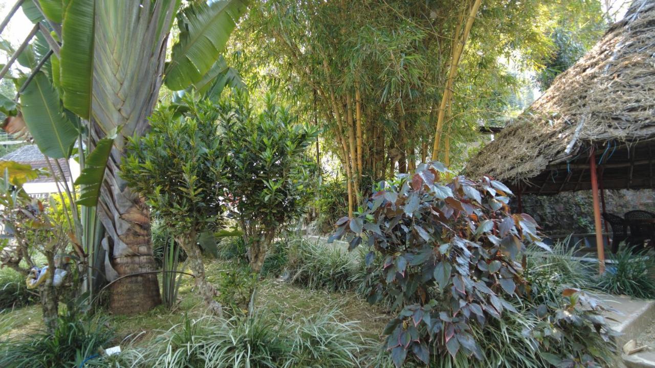 Seattle Garden Resort - Kollihills Extérieur photo