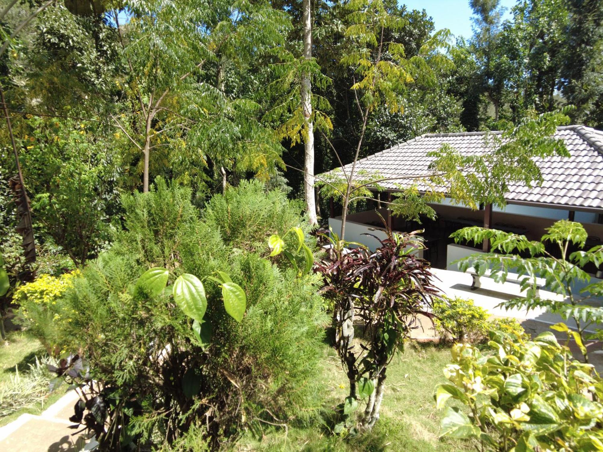 Seattle Garden Resort - Kollihills Extérieur photo